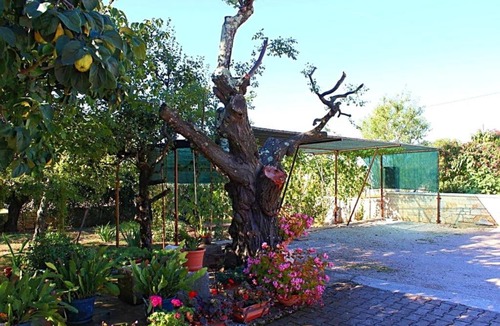 Vrvari Apartment | Apartment in Vrvari with One-Bedroom 3