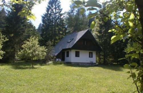 Ukanc Apartment | Apartment Lake Bohinj no. 5