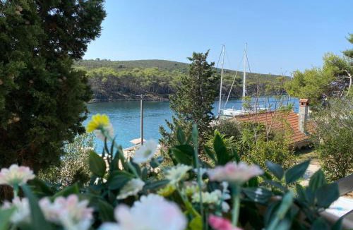 Molat Apartment | Apartment Lavanda