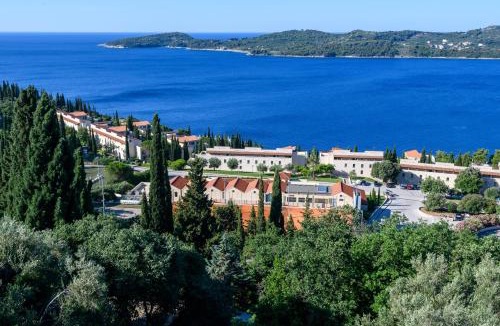 Orasac Apartment | Apartment MARIO - veliki stan za odmor - terasa- vrt - bazen - pogled more, izoliran