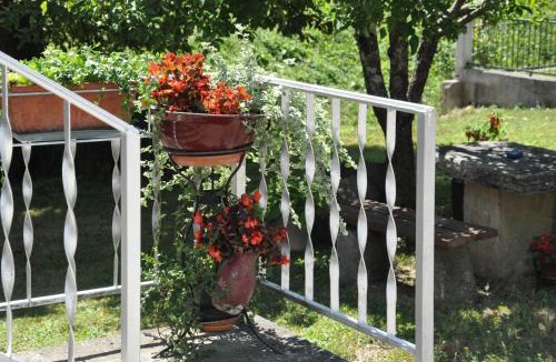 Buzet Apartment | Apartment Marioni