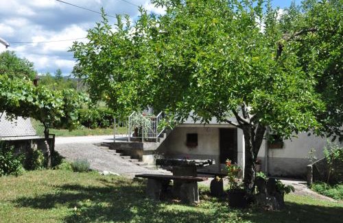 Buzet Apartment | Apartment Marioni
