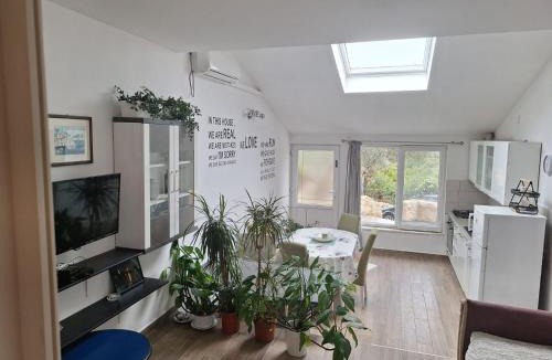 Kneza Apartment | Apartment Maslina