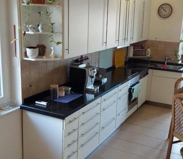 Donji Karin Apartment | Apartment Monika