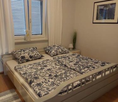 Donji Karin Apartment | Apartment Monika