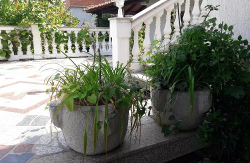 Njivice Apartment | Apartment Natali