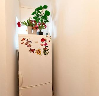 Kolanjski Gajac Apartment | Apartment Pasarela
