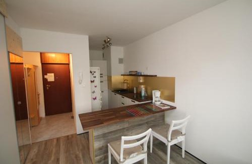 Znjan Apartment | Apartment Priska