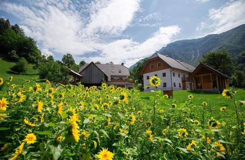 Lom pod Storzicem Apartment | Apartment Storman 2, Agriturismo, Countryside, Nature, Family, 20 km from Bled, 4 persons
