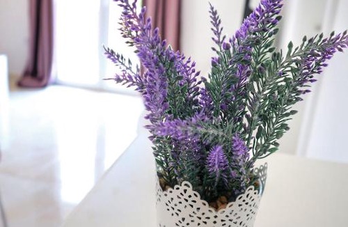 Zadar Apartment | Apartment Velvet