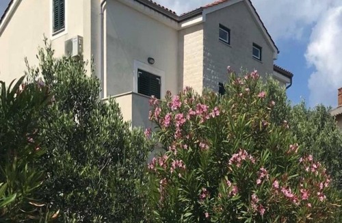 Ilovik Apartment | Apartments Azur (104721-A2) - Ilovik