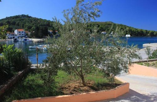 Lukoran Apartment | Apartments by the sea Lukoran (Ugljan) - 8470