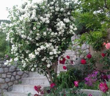 Vratarusa Apartment | Apartments by the sea Senj - 22576