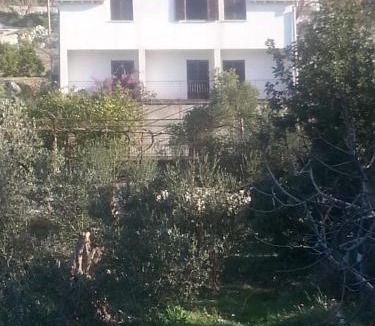 Krucica Apartment | Apartments by the sea Sladjenovici, Dubrovnik - 11531