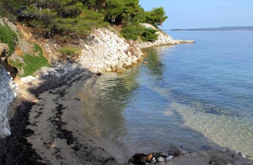 Tkon Apartment | Apartments by the sea Tkon, Pasman - 8454