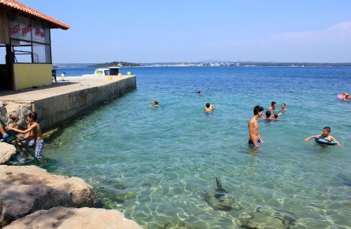Tkon Apartment | Apartments by the sea Tkon, Pasman - 17360