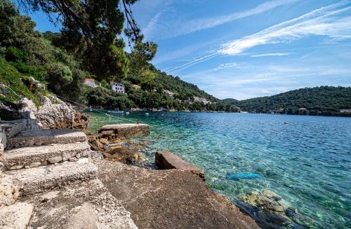 Ubli Apartment | Apartments by the sea Ubli, Lastovo - 8344