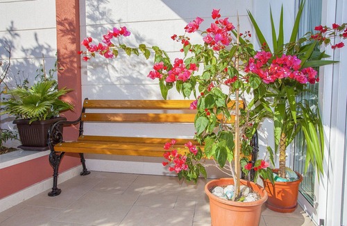 Podgora Apartment | Apartments Kunac (47551-A5) - Podgora