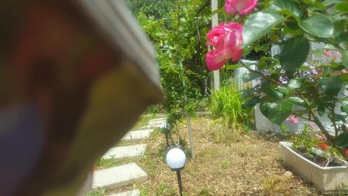 Stara Baska Apartment | Apartments Laura
