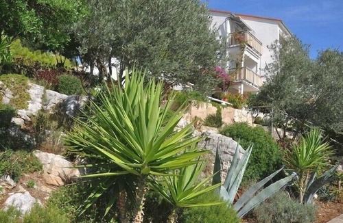 Pasadur Apartment | Apartments Ljiljana, (16037), Pasadur, hr