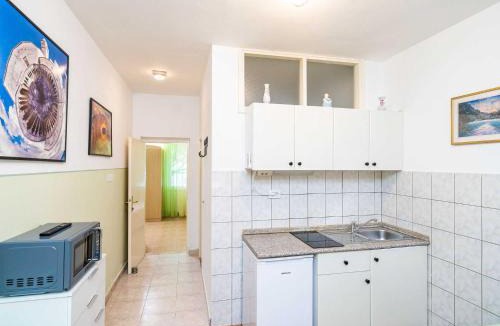 Lumbarda Apartment | Apartments Nikolina LU - One-Bedroom Apartment with terrace