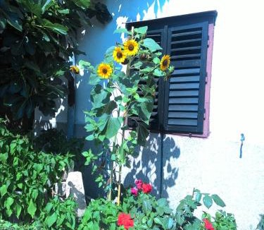 Pakostane Apartment | Apartments Prisnac