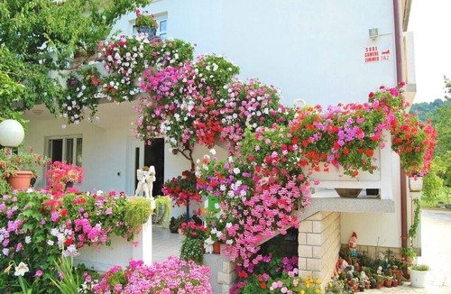 Palit Apartment | Apartments Rezika, (14126), Palit, hr