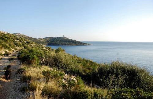 Skrivena Luka Apartment | Apartments Silvana