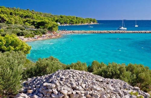 Murter Apartment | Apartments Sonja Murter Croatia