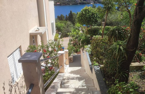 Skrivena Luka Apartment | Apartments Vesna (53751-A2) - Skrivena Luka