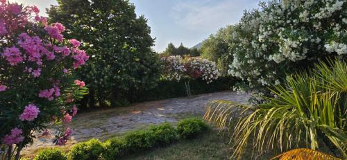 Starigrad Apartment | Apartments Villa Andreja