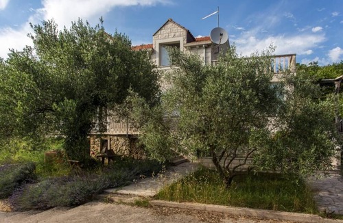 Cilipi Apartment | Apartments Villa Maslina - One-Bedroom Apartment with Terrace and Garden View