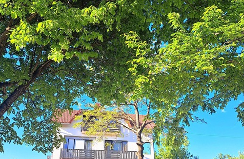 Dreznik Grad Apartment | Apartments Villa Mavi - Two Bedroom Apartment Second Floor