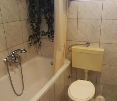 Mirce Apartment | Apartments with a parking space Mirca, Brac - 15683