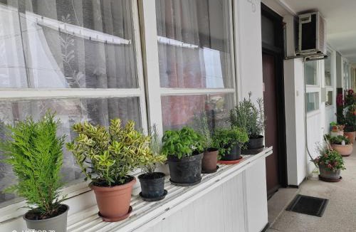 Bjelovar Apartment | Apartments with parking space Bjelovar, Bjelovarska - 23322