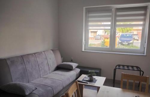 Otok Apartment | Apartments with parking space Otok, Slavonija - 24625