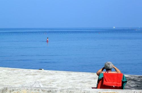 Murine Apartment | Apartments with swimming pool Murine, Umag - 27509