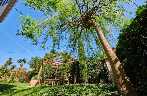 Murine Apartment | AvantGarden