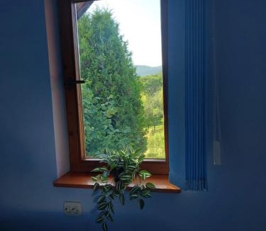 Banita Apartment | Cabană cu teren de tenis - etaj