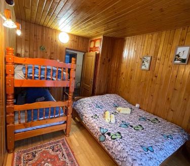 Predeal House | Cabana Celesta