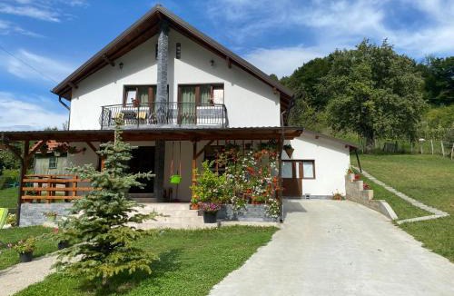 Oestii Paminteni House | Casa Alex