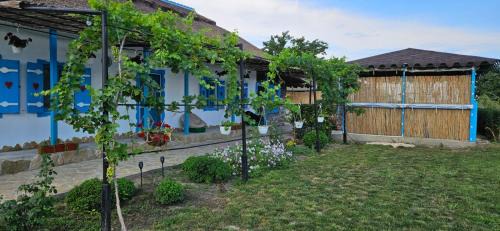Murighiol Bed & Breakfast | Casa cu stuf Murighiol