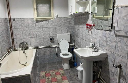 Vidra House | Casa Danut