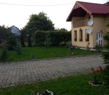 Ilisesti House | Casa Nicu