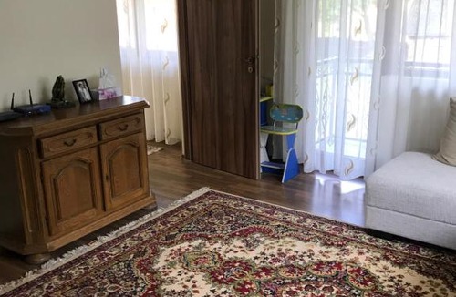 Viseu de Jos House | Casa Pui de Morosan