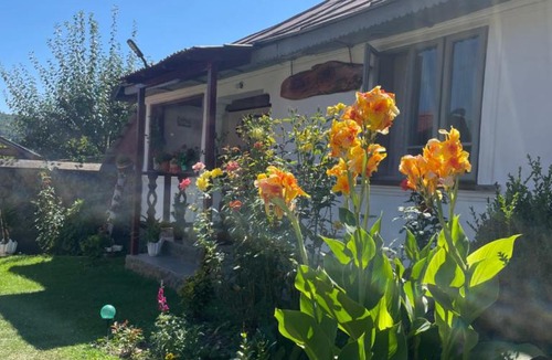 Vidra House | Casa Putna