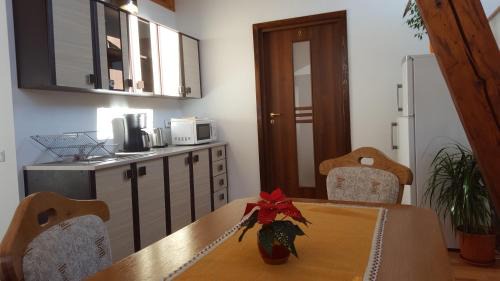 Sacele House | Casa Sara