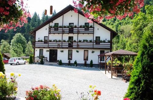 Vadu Motilor House | Casa Ursului