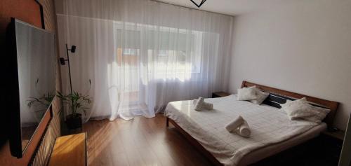 Resita Apartment | Central One Guesthouse