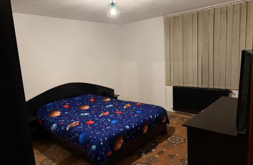 Craiova Villa | Christmas House